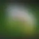 Zagraj Let It Ride z Playtech w {"id":84,"name":"Boomerang Casino","design":{"logo":"boomerang-casino-logo-JK45gK.svg","favicon":"boomerang-casino-favicon-Ec2tWw.png","banner_poker":"boomerang-casino-poker-GAGWhs.webp","banner_mobile":"boomerang-casino-mobile-Rxgxcl.webp","block_bg_color":"#27272A","image_bg_color":"#333","banner_bg_color":"#27272a","block_text_color":"#ffffff","primary_bg_color":"#09090b","banner_text_color":"#fff","footer_logos_type":"white","block_round_radius":"0.5rem","primary_text_color":"#ffffff","button_round_radius":"9999px","banner_welcome_bonus":"boomerang-casino-welcome-bonus-QCX7Z0.webp","primary_button_bg_color":"#fbbf24","primary_button_text_color":"#09090B","secondary_button_bg_color":"#999","secondary_button_text_color":"#f8fafc"},"created_at":"2025-05-14T09:25:23.000000Z","updated_at":"2025-05-21T09:52:29.000000Z","deleted_at":null}